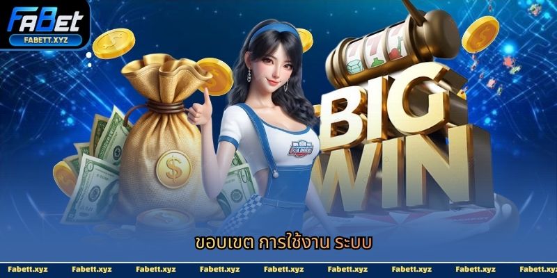 ขอบเขต การใช้งาน ระบบ