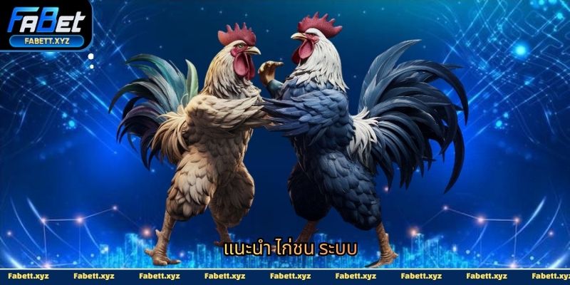 แนะนำ ไก่ชน ระบบ