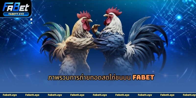 ภาพรวมการถ่ายทอดสดไก่ชนบน Fabet
