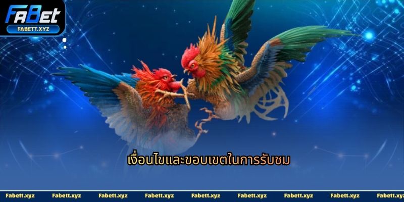 เงื่อนไขและขอบเขตในการรับชม