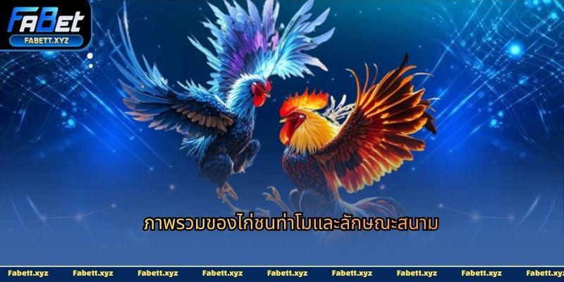 ภาพรวมของไก่ชนท่าโมและลักษณะสนาม