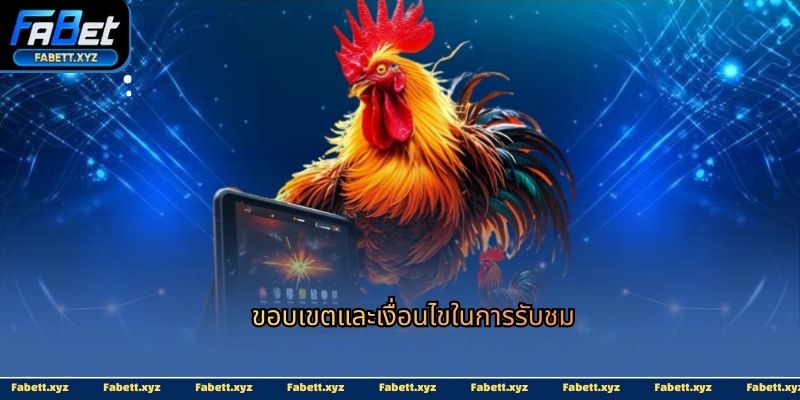 ขอบเขตและเงื่อนไขในการรับชม