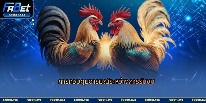 การควบคุมอารมณ์ระหว่างการรับชม