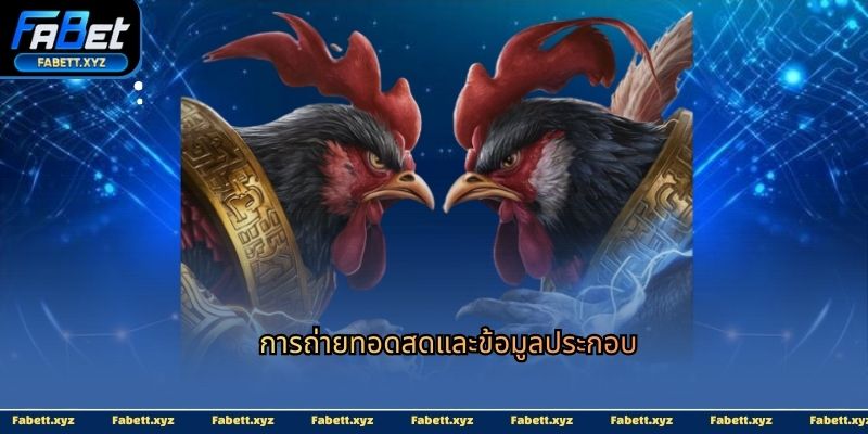 การถ่ายทอดสดและข้อมูลประกอบ