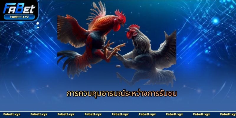 การควบคุมอารมณ์ระหว่างการรับชม
