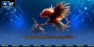 ไก่ชนเดือยเหล็ก