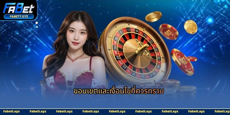 ขอบเขตและเงื่อนไขที่ควรทราบ